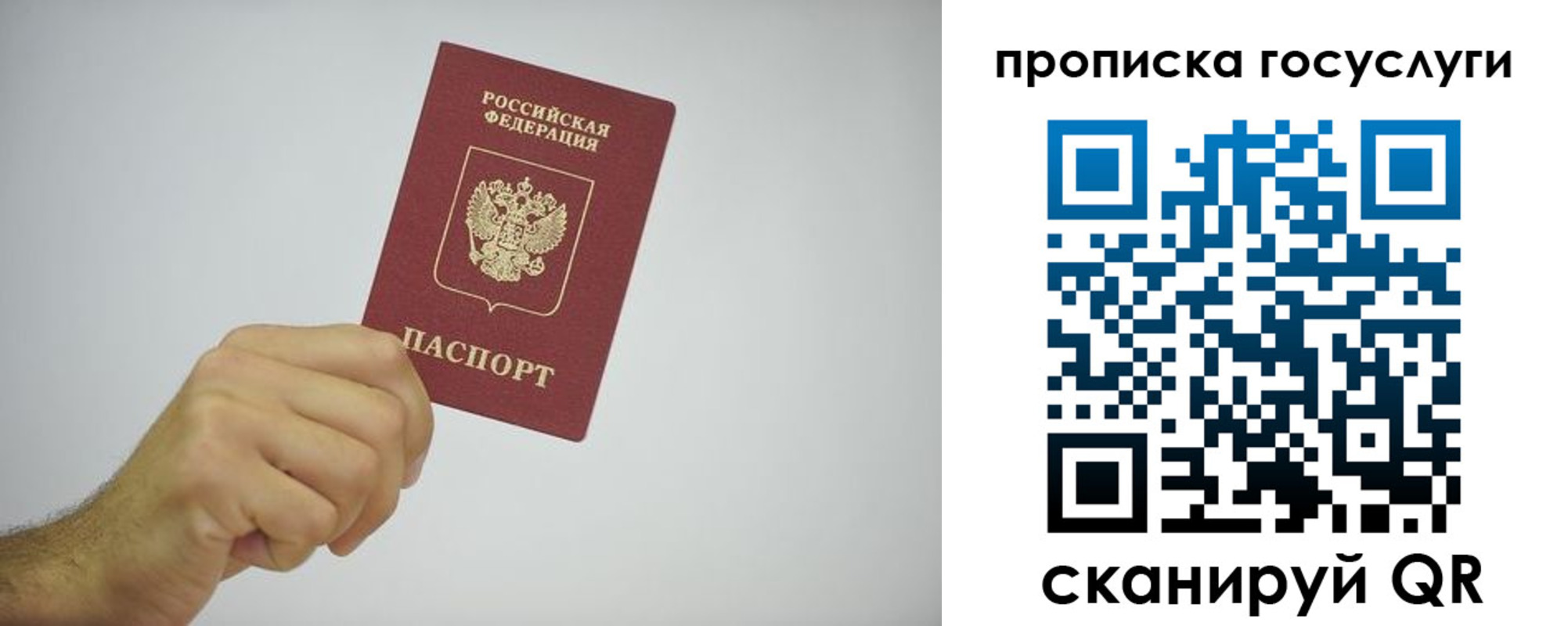 прописка законно в Рошале